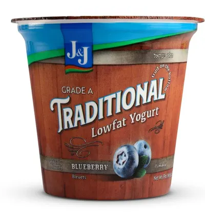 Lowfat Blueberry Yogurt