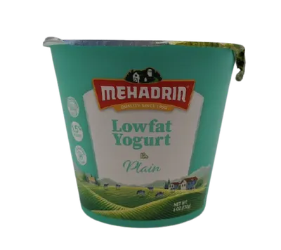 Plain Low Fat Yogurt