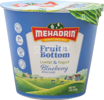 Low Fat Blueberry Yogurt