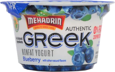Non Fat Bluberry Greek Yogurt