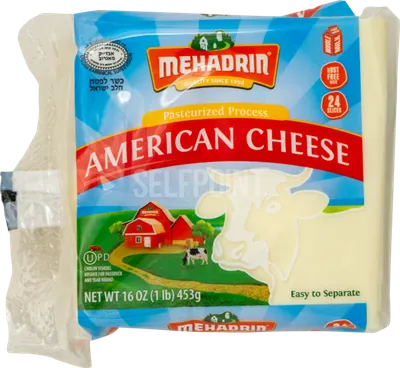 Pasteurized Process Cheese Slices 24 ct (kfp)