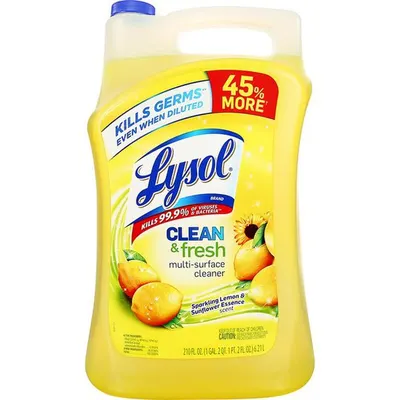 Clean & Fresh Multi-Surface Cleaner