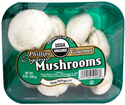 Mushroom White Cello