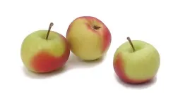 Apple Lady (Small)