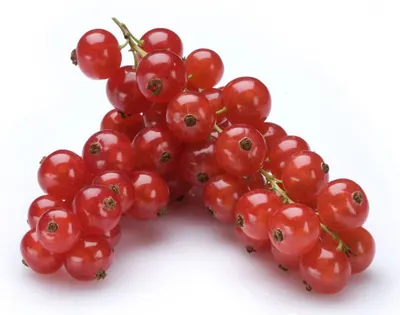 Currants Red