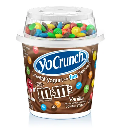 Vanilla Flavored Low Fat Yogurt