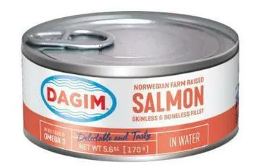 Skinless & Boneless Salmon Fillet in Water