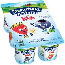Strawberry Vanilla Raspberry Flavored Yogurt 6 ct