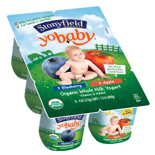 Organic Apple Blueberry Whole Milk Yogurt with Probiotics 6 pk