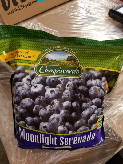 Moonlight Serenade Blueberries