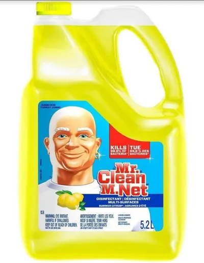 Mr Clean Summer Citrus 5 Liter