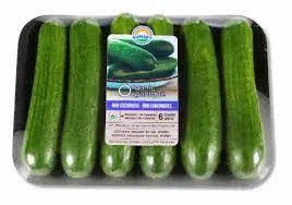 Mini Organic Cucumber