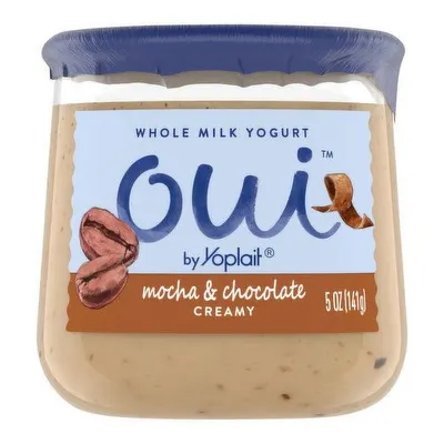 Creamy Mocha & Chocolate Yogurt