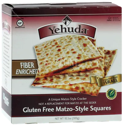 Gluten Free Matzo-Style Squares