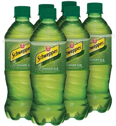 Caffeine Free Ginger Ale 6 pk