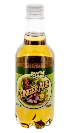 Pale Dry Ginger Ale Soda Bottle
