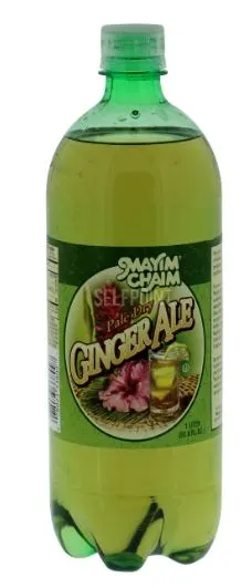 Ginger Ale Soda
