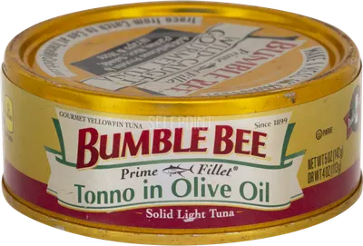 Solid Light Tuna in Olive Oil