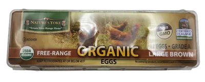 Cage Free Jumbo Brown Eggs