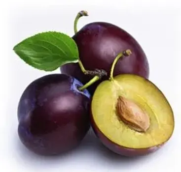Plums Prunes