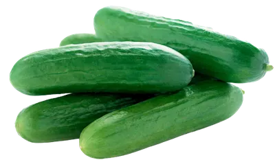 Mini Cucumbers