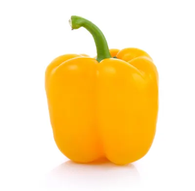 Pepper Fancy Yellow Holland