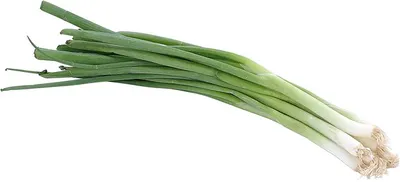 Scallions