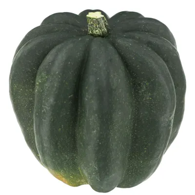 Acorn Squash