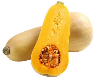 Butternut Squash
