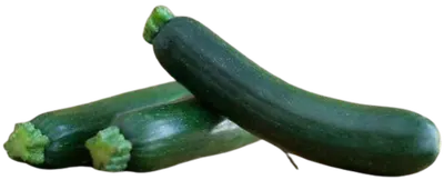 Squash Green Small