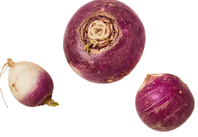 Turnip