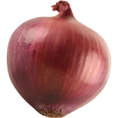 Red Onion