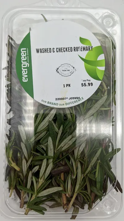 Rosemary Washed & Checked