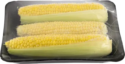 Fresh Corn 3 Pack