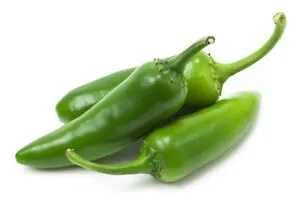 Green Hot Jalapeno Pepper