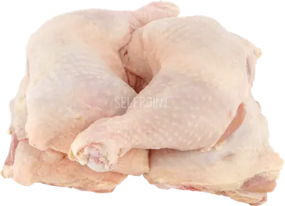 Very Clean Chicken Bottoms