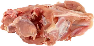 Turkey Bones