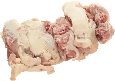 Chicken Leg Dark Bones Back
