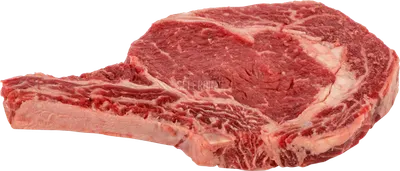 Rib Steak