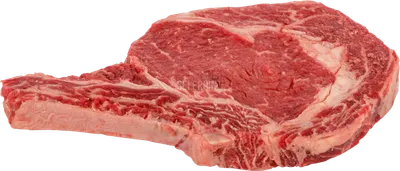 Black Angus Rib Steak