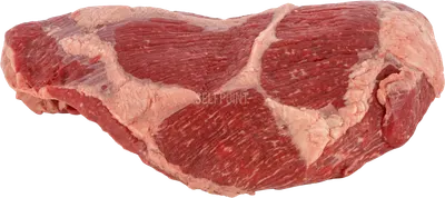 Top of Rib Prime