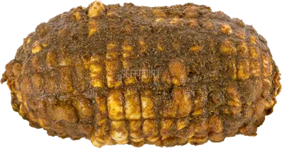 Dark Chicken Roast Shwarma