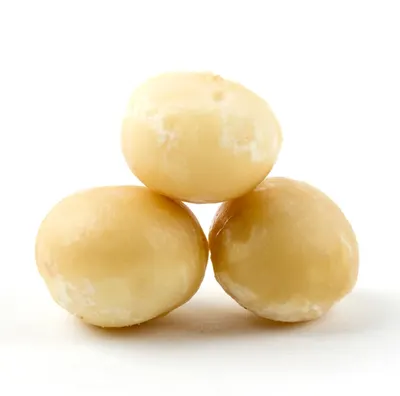 Roasted Salted Macadamia