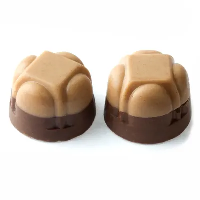 Two Tone Truffle Dome