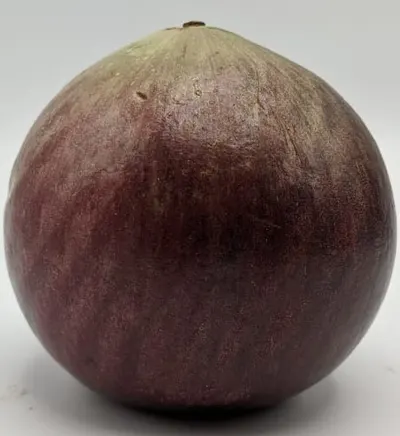 Apple Star