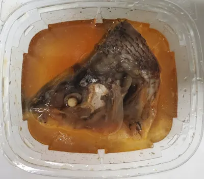Cooked Fish Head - White Fish