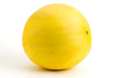 Golden Honeydew