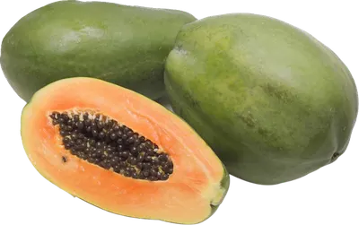 Large Papaya