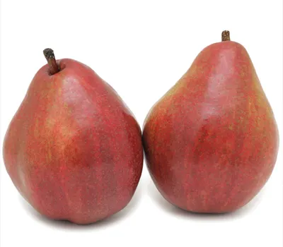 Red Bartlett Pears