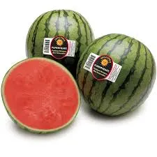 Watermelon Mini